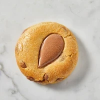 koekje melk chocolade